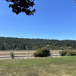Lichen Estate - View