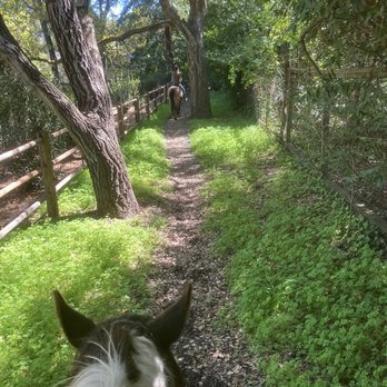 On A Lark Farm - Explore beautiful trails - Horse Boarding Near Me On A Lark Farm - Explore beautiful trails - Horse Boarding Near Me