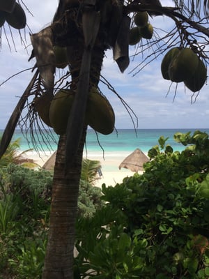 Encantada Tulum by null
