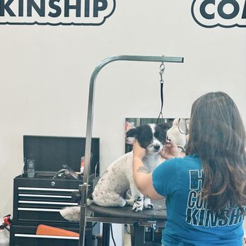 Puppy Fades - Pet Groomers Near Me - Pasadena, California