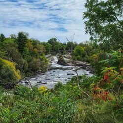 Hog's Back Falls Park