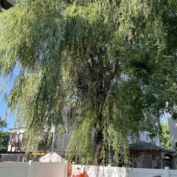 Estrada Tree Service - Tree Services Near Me Estrada Tree Service - Tree Services Near Me