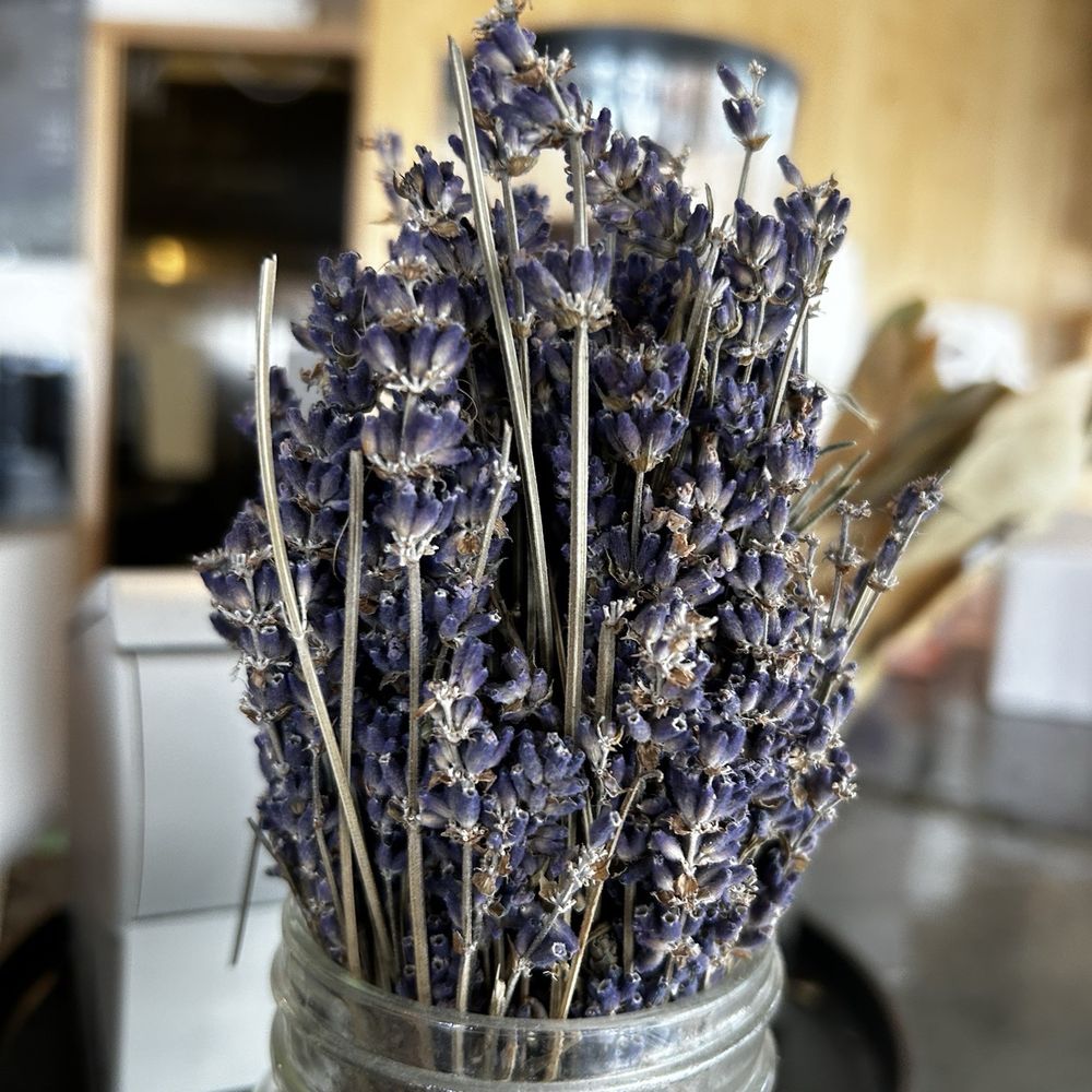 Boxcar Social - Flowers - Coffee & Tea Near Me - Toronto, Ontario