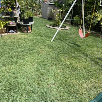 Hawaiian Turfgrass - AFTER -Back yard - Irrigation Near Me - Mililani, Hawaii Hawaiian Turfgrass - AFTER -Back yard - Irrigation Near Me - Mililani, Hawaii