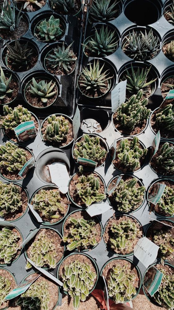 COURTNEY FARMS Updated August 2024 17 Photos 801 Washington Ave