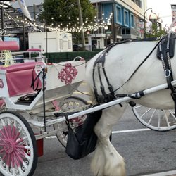 Nottingham Shire & Carriage For Hire