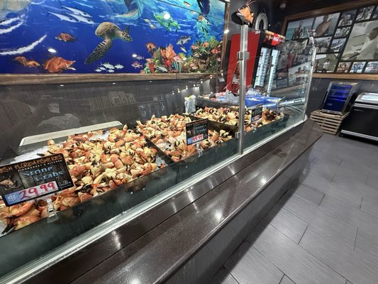 Fresh Florida Fisheries by null