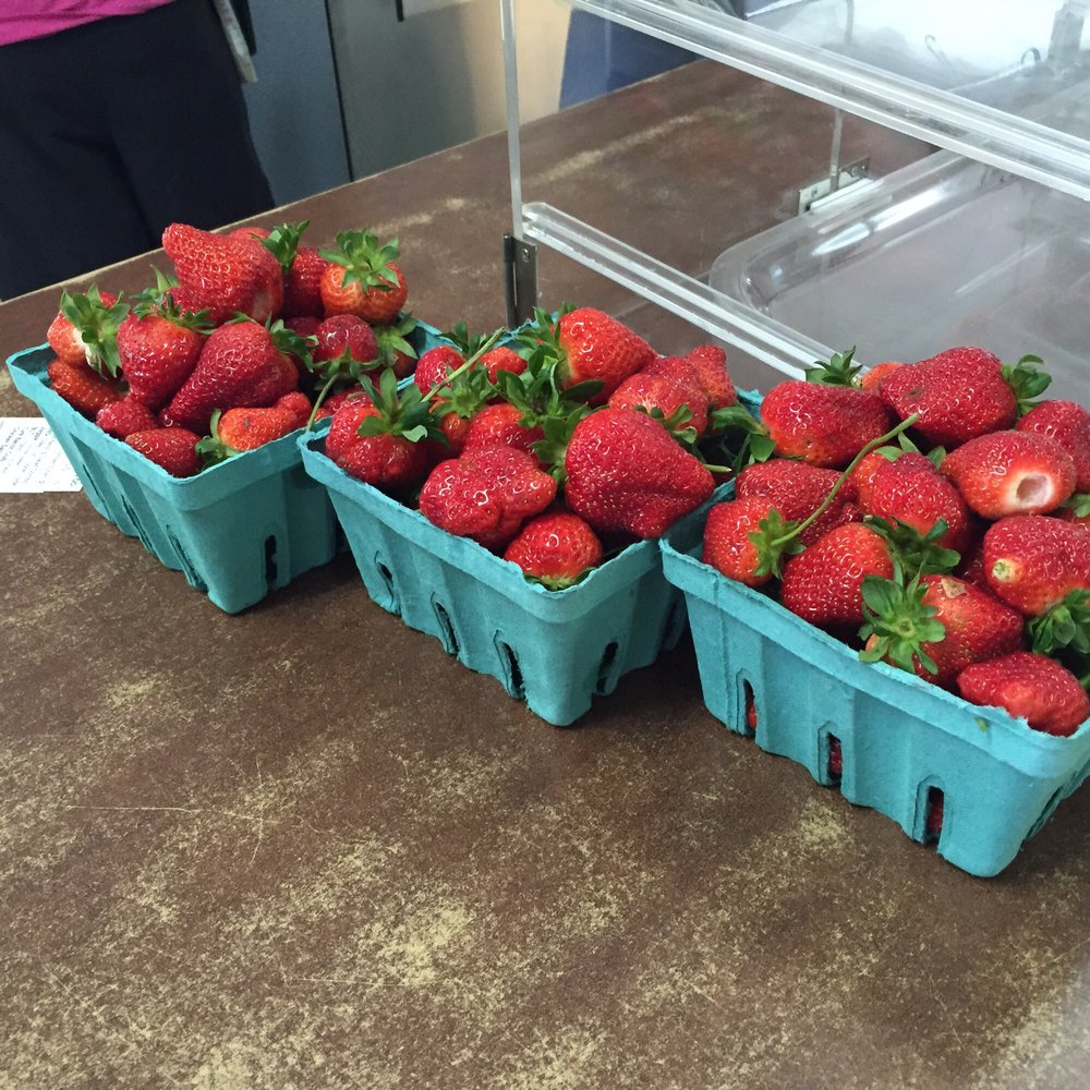 Bergey's Breadbasket - Fresh strawberries hand picked this morning - Bakeries Near Me - Chesapeake, Virginia Bergey's Breadbasket - Fresh strawberries hand picked this morning - Bakeries Near Me - Chesapeake, Virginia