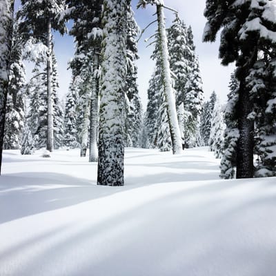 Royal Gorge Cross Country Ski Resort by null