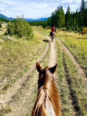 Jake's Horses Inc. by null