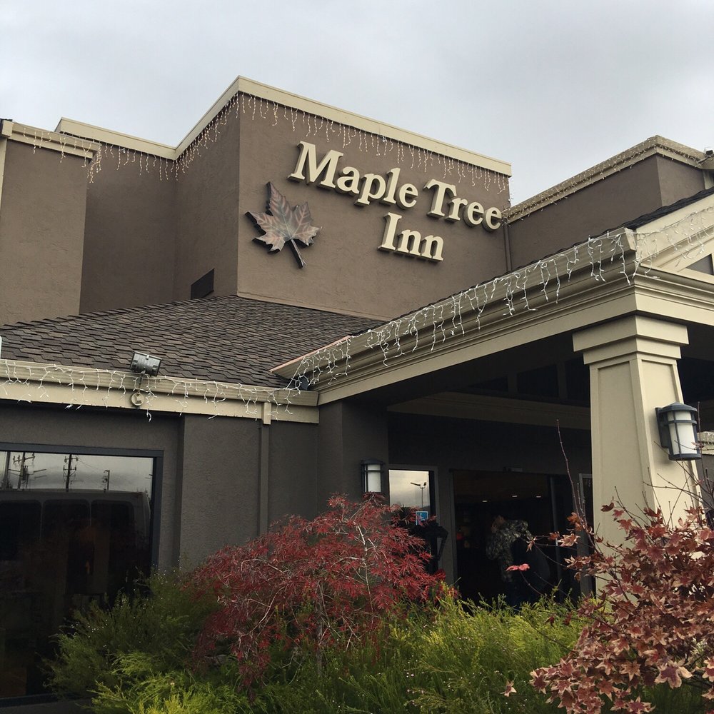 Maple Tree Inn - Hotels Near Me - Sunnyvale, California Maple Tree Inn - Hotels Near Me - Sunnyvale, California