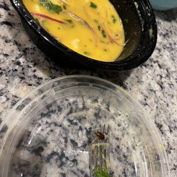 Sur Latin Peruvian Cuisine - A roach on my ceviche - Latin American Near Me - Houston, Texas