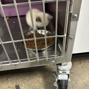 FRESNO HUMANE ANIMAL SERVICES - Updated February 2026 - 28 Photos & 16