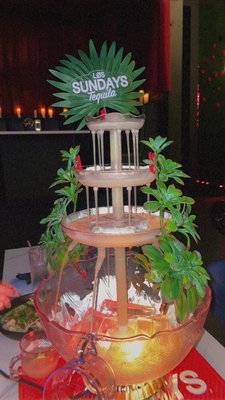 This Too Shall Pass - TTSP by null