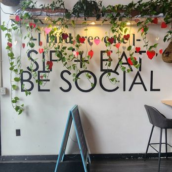 Bird Tree Cafe - Cafes Near Me - Colorado Springs, Colorado Bird Tree Cafe - Cafes Near Me - Colorado Springs, Colorado