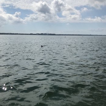 Encounter With Dolphins - Boating Near Me - Clearwater, Florida Encounter With Dolphins - Boating Near Me - Clearwater, Florida