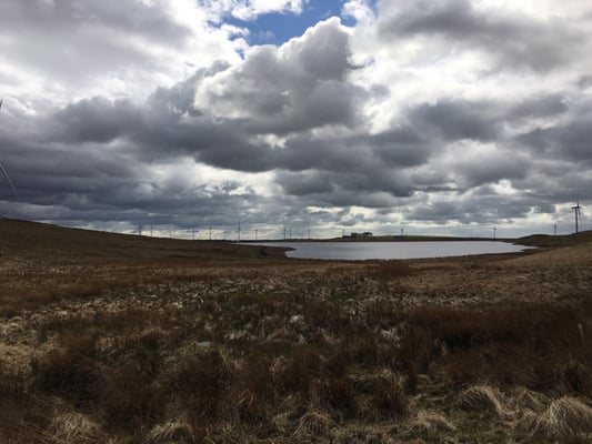 Whitelee wind farm by null