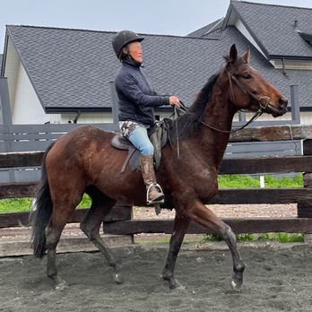 Sam and Socks - Horseback Riding Near Me
