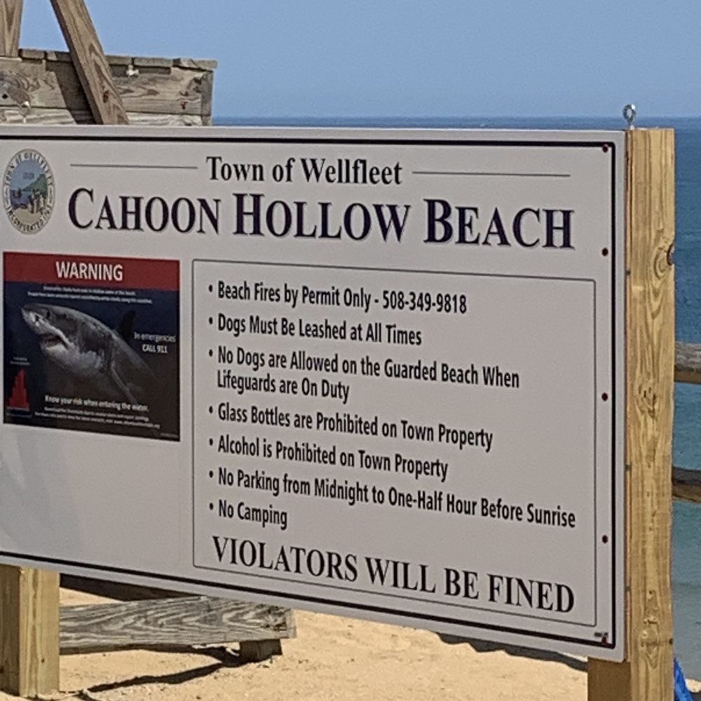 Cahoon Hollow Beach - Beach sign - Swimming Pools Near Me Cahoon Hollow Beach - Beach sign - Swimming Pools Near Me