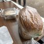 Photo of Turtle Bread Company