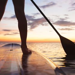 Salt Free Summer