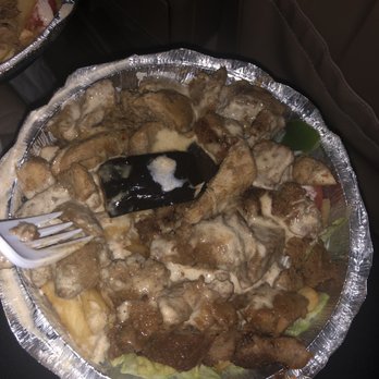 Mahmoud's Corner - Mixed chicken and lamb with white sauce - Halal Near Me - Astoria, New York Mahmoud's Corner - Mixed chicken and lamb with white sauce - Halal Near Me - Astoria, New York