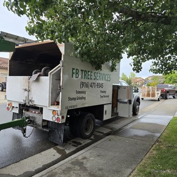 FB Tree Services - Tree Services Near Me - North Highlands, California