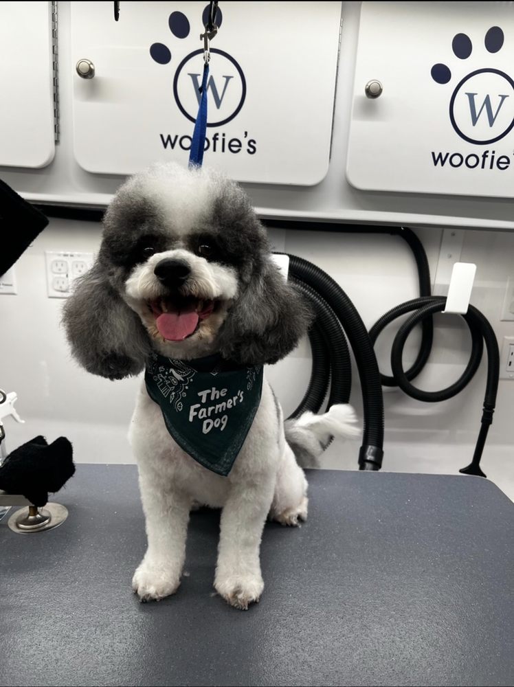 Woofie's of Evans-Augusta - pet boarding facility in Evans, GA