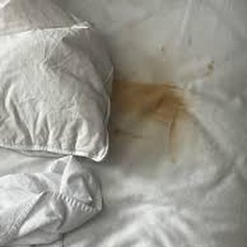 Ramada by Wyndham Parsippany - Poop stains bed - Hotels Near Me - Parsippany, New Jersey Ramada by Wyndham Parsippany - Poop stains bed - Hotels Near Me - Parsippany, New Jersey