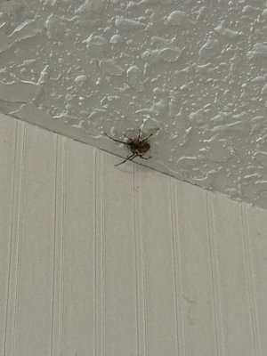 Clarion Hotel Mackinaw City Beachfront by null