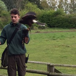Suffolk Owl Sanctuary