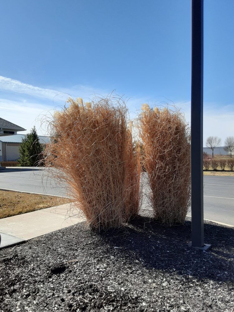 Burke, Charles S, MD - grief counselor in Perrysburg, OH