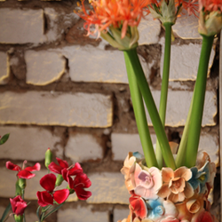 Blume sucht Vase