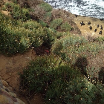 La Jolla Cove - Parks Near Me - La Jolla, California
