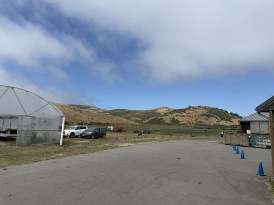 Blue House Farm Strawberry U-Pick and Farmstand by null