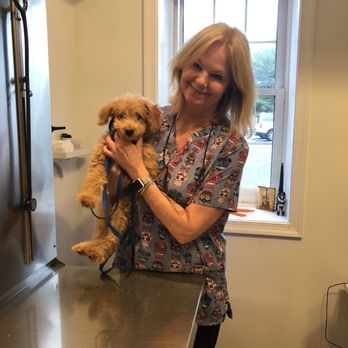 Canal Clinic - Hermoine gets her 3 month check up. She grew from 4.5 pounds to 8.1 pounds. She loved Dr. Taylor. - Veterinarians Near Me - Potomac, Maryland Canal Clinic - Hermoine gets her 3 month check up. She grew from 4.5 pounds to 8.1 pounds. She loved Dr. Taylor. - Veterinarians Near Me - Potomac, Maryland