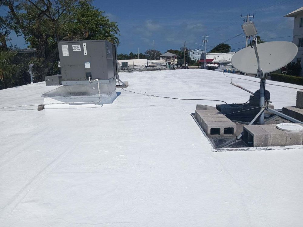 Slide of Roof Assassins