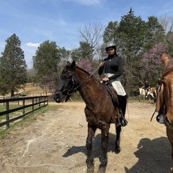 Creekside Riding Academy & Stables - Onyx