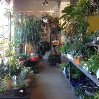 Sprout Home - Nurseries & Gardening Near Me - Chicago, Illinois Sprout Home - Nurseries & Gardening Near Me - Chicago, Illinois
