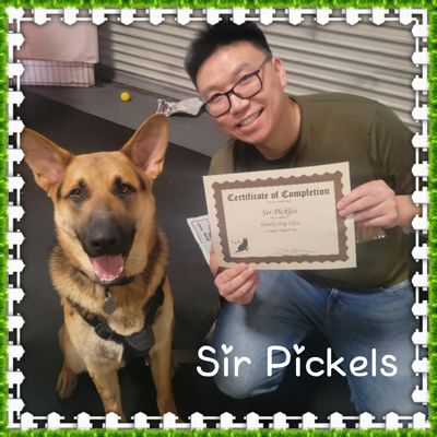 DOG SOUL - Updated December 2025 - 912 Photos & 65 Reviews - 39