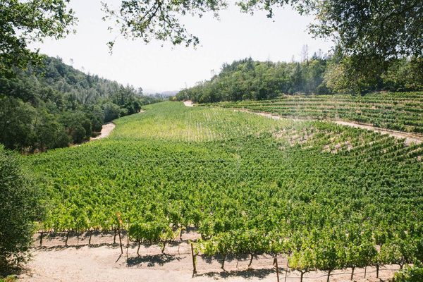 Bin 415 Wine Tastings & Private Tours by null