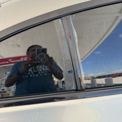 All Tinting