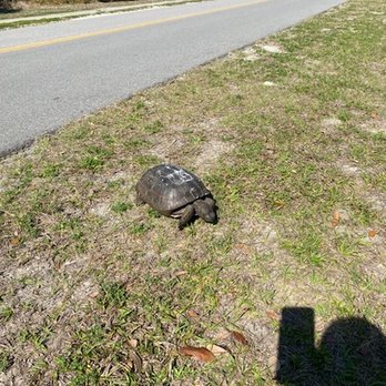 Anastasia State Park - Parks Near Me - Saint Augustine, Florida
