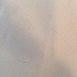 Cat hair still on my comforter after they claimed they dry cleaned it.