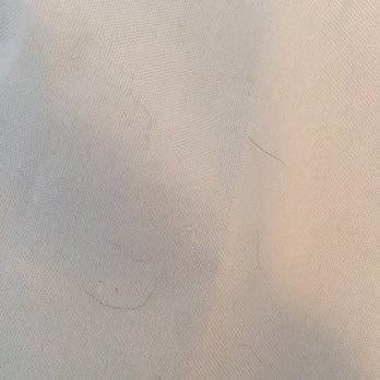Y Pay More Cleaners - Cat hair still on my comforter after they claimed they dry cleaned it. - Dry Cleaning Near Me - Plano, Texas