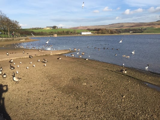 Hollingworth Lake by null