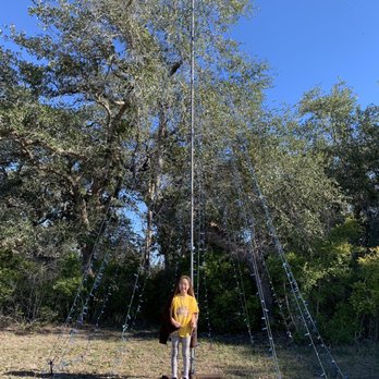 Monument Hill State Park - One of many light set ups for their evening Christmas light walk thru. - Parks Near Me - La Grange, Texas Monument Hill State Park - One of many light set ups for their evening Christmas light walk thru. - Parks Near Me - La Grange, Texas