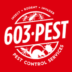 603 Pest Control Services