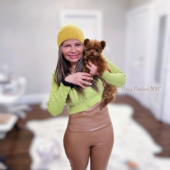 Tiny Cuties NYC - Pet Breeders Near Me - City, New York Tiny Cuties NYC - Pet Breeders Near Me - City, New York