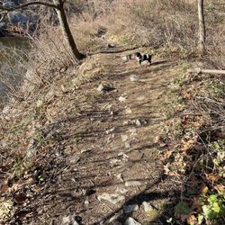 Sheldrake Environmental Center